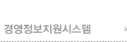 경영정보시스템